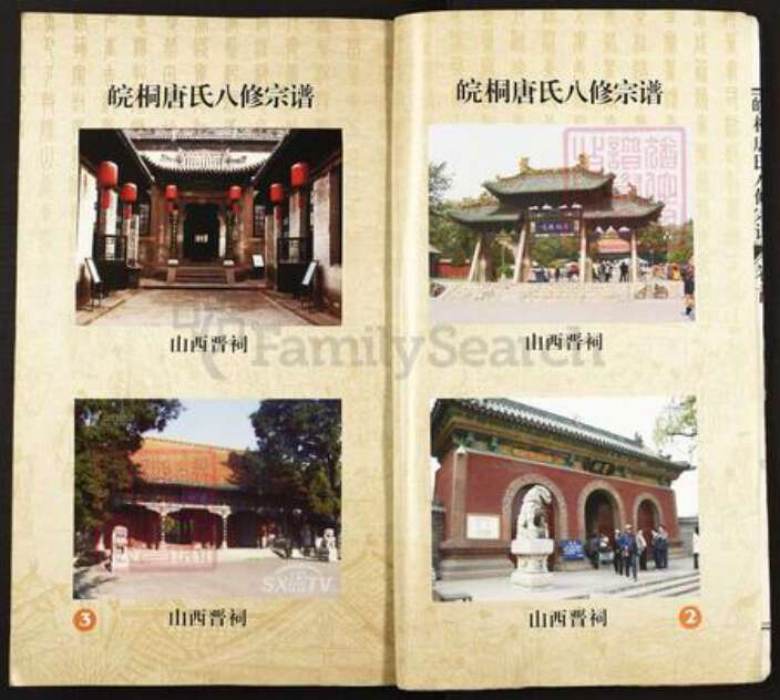 安徽省安庆市桐城市唐氏族谱-皖桐唐氏八修宗谱.pdf电子版预览图3