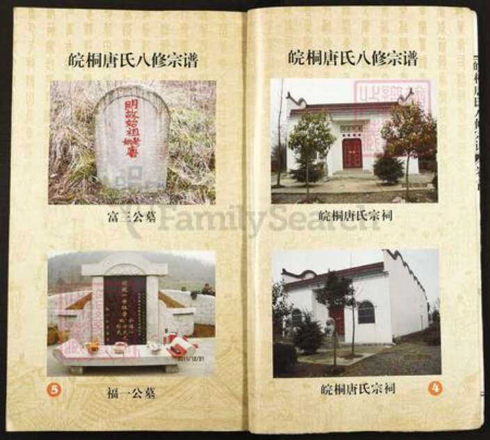 安徽省安庆市桐城市唐氏族谱-皖桐唐氏八修宗谱.pdf电子版预览图4