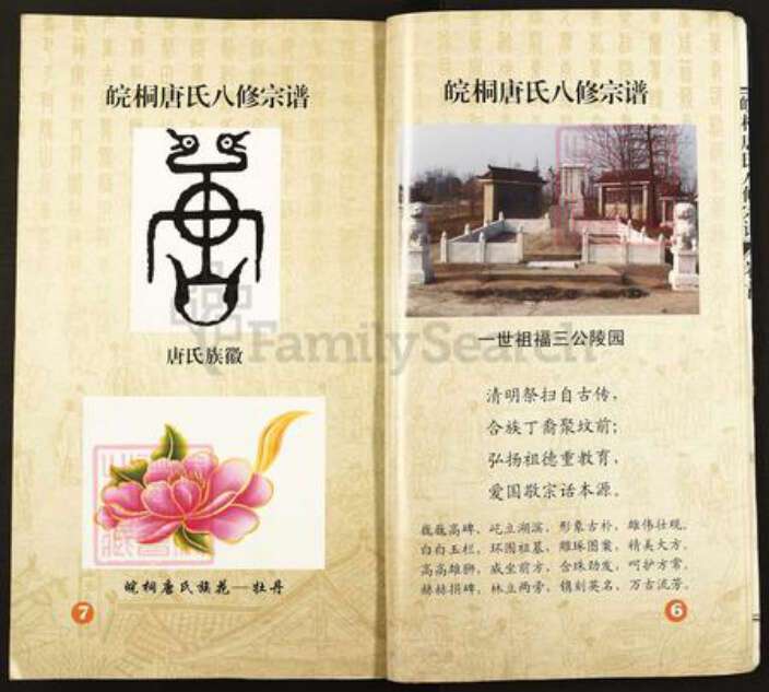 安徽省安庆市桐城市唐氏族谱-皖桐唐氏八修宗谱.pdf电子版预览图5