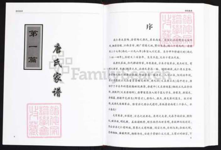 四川省眉山市仁寿县唐氏晋昌堂族谱-唐氏族谱.四川省仁寿县唐氏晋昌脉派.pdf电子版预览图1