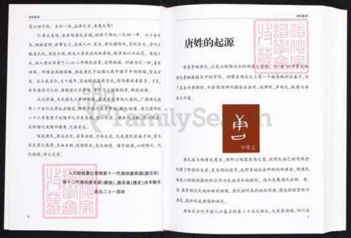 四川省眉山市仁寿县唐氏晋昌堂族谱-唐氏族谱.四川省仁寿县唐氏晋昌脉派.pdf电子版预览图2