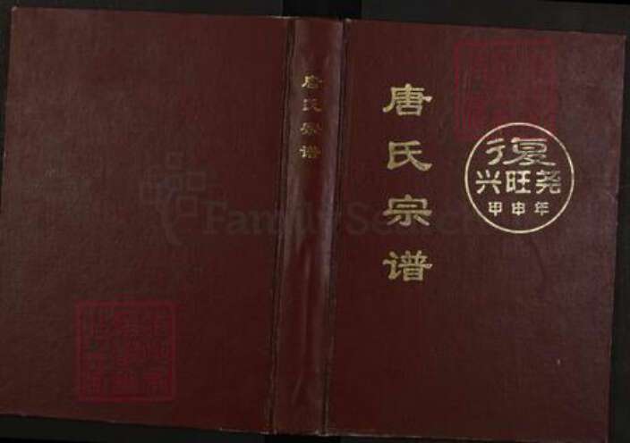 四川省遂宁市船山区唐氏族谱-唐氏宗谱.pdf电子版缩略图