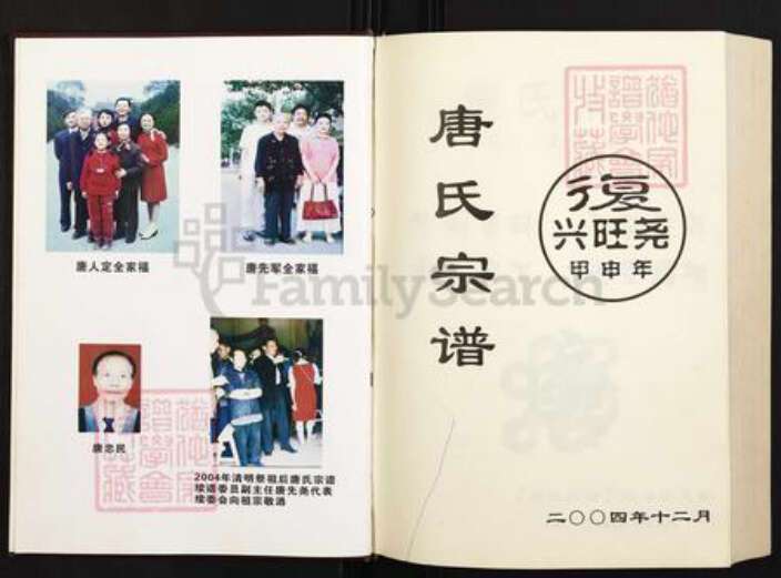 四川省遂宁市船山区唐氏族谱-唐氏宗谱.pdf电子版预览图1