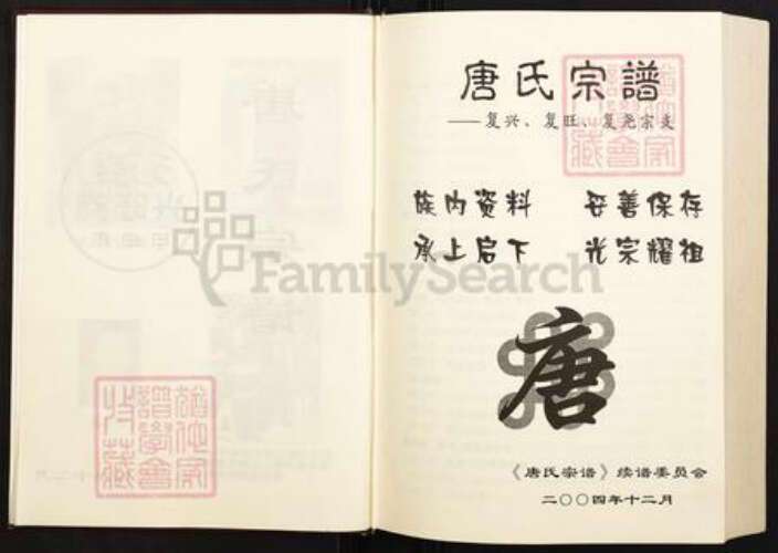 四川省遂宁市船山区唐氏族谱-唐氏宗谱.pdf电子版预览图2