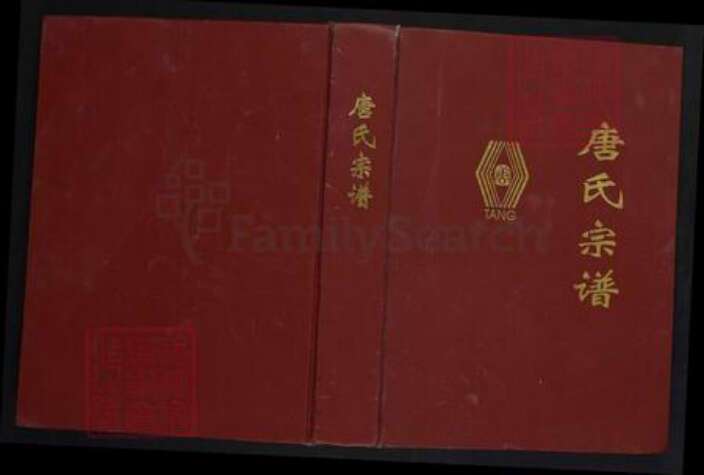 四川省资阳市安岳县护龙镇唐氏族谱-唐氏宗谱.pdf电子版缩略图