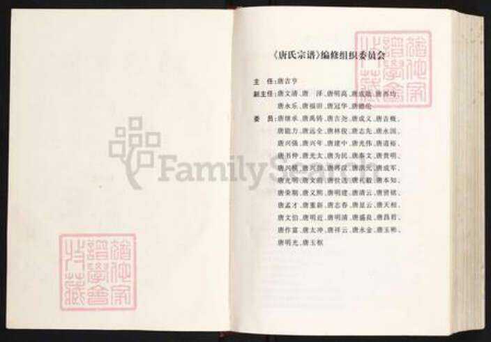 四川省资阳市安岳县护龙镇唐氏族谱-唐氏宗谱.pdf电子版预览图1