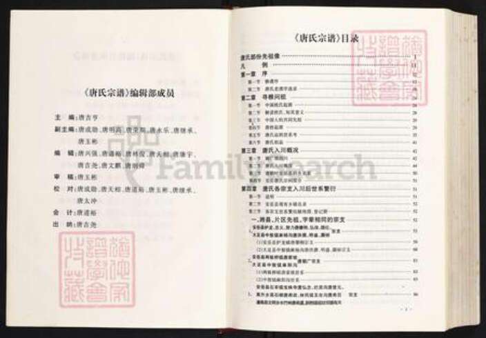 四川省资阳市安岳县护龙镇唐氏族谱-唐氏宗谱.pdf电子版预览图2