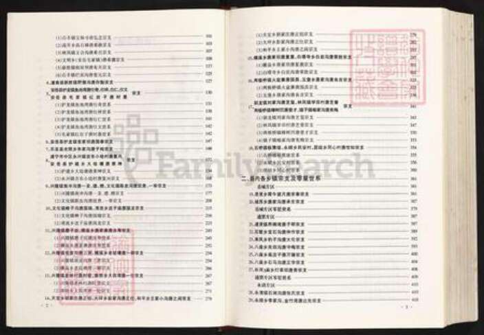 四川省资阳市安岳县护龙镇唐氏族谱-唐氏宗谱.pdf电子版预览图3