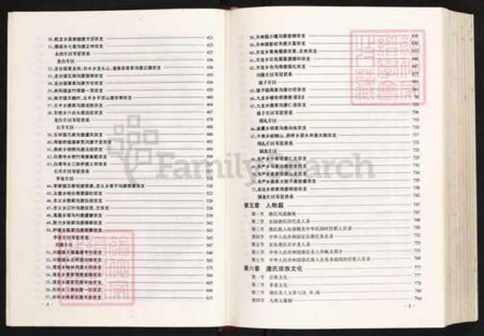 四川省资阳市安岳县护龙镇唐氏族谱-唐氏宗谱.pdf电子版预览图4