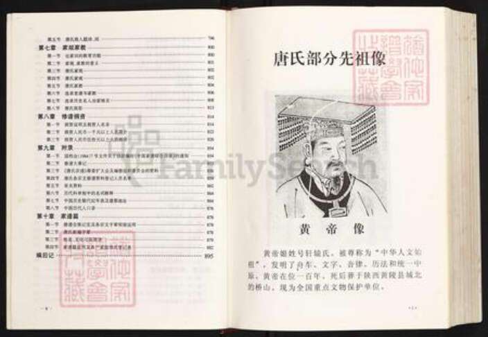 四川省资阳市安岳县护龙镇唐氏族谱-唐氏宗谱.pdf电子版预览图5