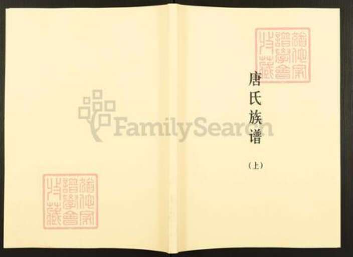 广东省梅州市五华县华城镇唐氏族谱-唐氏族谱.pdf电子版缩略图