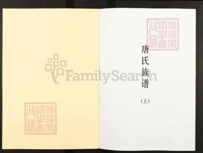 广东省梅州市五华县华城镇唐氏族谱-唐氏族谱.pdf电子版预览图1