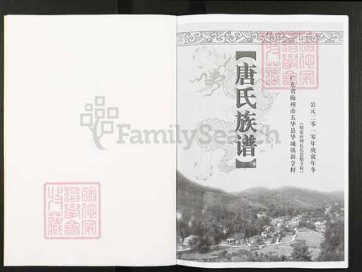 广东省梅州市五华县华城镇唐氏族谱-唐氏族谱.pdf电子版预览图2