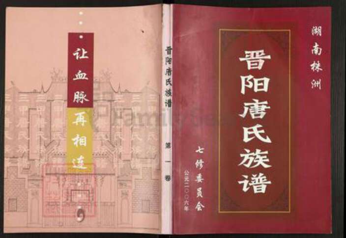 湖南省衡阳市衡阳县唐氏族谱-株洲晋阳唐氏族谱.pdf电子版缩略图