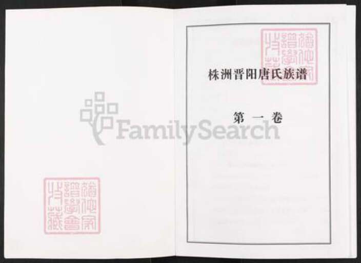 湖南省衡阳市衡阳县唐氏族谱-株洲晋阳唐氏族谱.pdf电子版预览图1