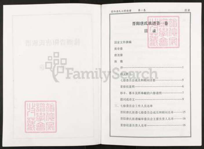 湖南省衡阳市衡阳县唐氏族谱-株洲晋阳唐氏族谱.pdf电子版预览图2