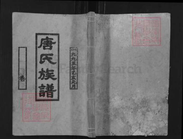 湖南省邵阳市邵阳县唐氏敦伦堂族谱-唐氏四修族谱.pdf电子版缩略图