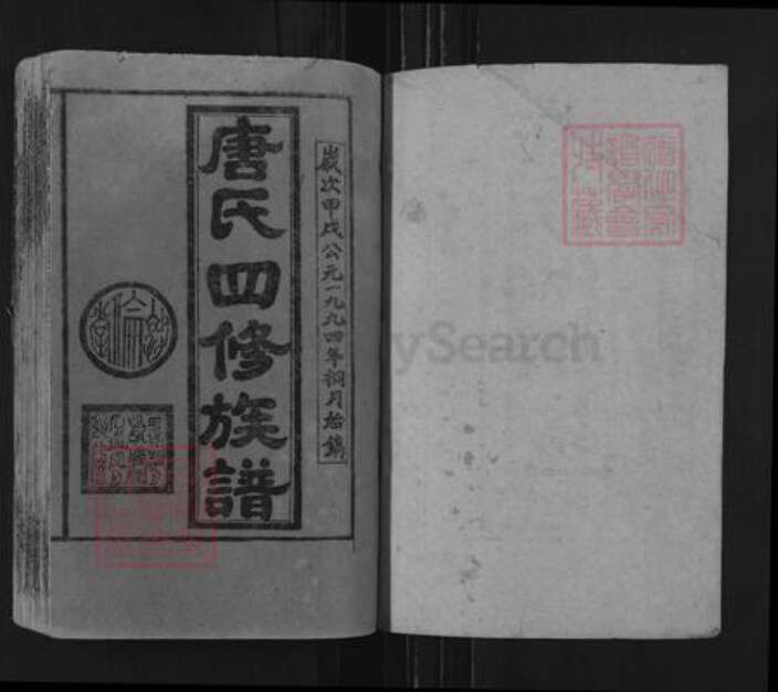 湖南省邵阳市邵阳县唐氏敦伦堂族谱-唐氏四修族谱.pdf电子版预览图1