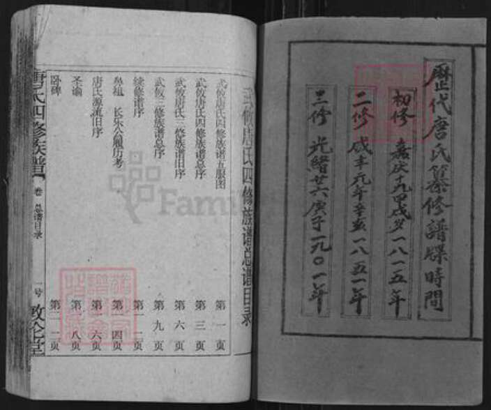 湖南省邵阳市邵阳县唐氏敦伦堂族谱-唐氏四修族谱.pdf电子版预览图2