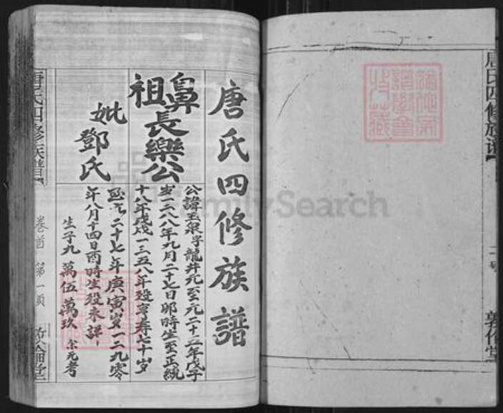 湖南省邵阳市邵阳县唐氏敦伦堂族谱-唐氏四修族谱.pdf电子版预览图4