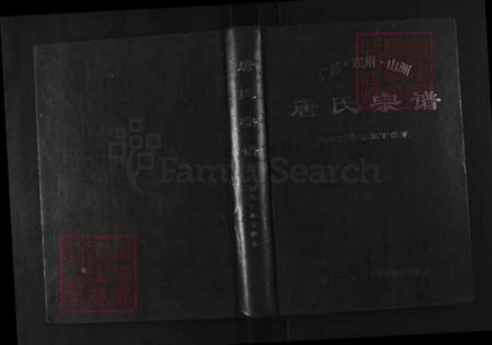 广东省清远市连州市唐氏族谱-唐氏宗谱.二房万寿公派下世系.pdf电子版缩略图