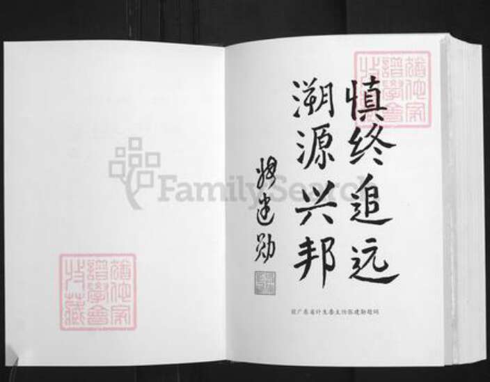 广东省清远市连州市唐氏族谱-唐氏宗谱.二房万寿公派下世系.pdf电子版预览图2