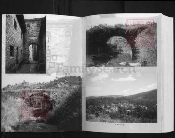 广东省清远市连州市唐氏族谱-唐氏宗谱.二房万寿公派下世系.pdf电子版预览图4