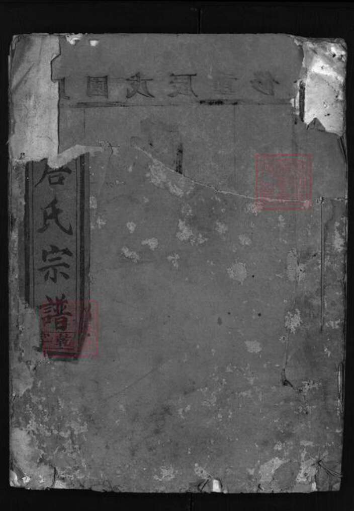 浙江省唐氏族谱-东鲁唐氏宗谱 [4卷].pdf电子版缩略图