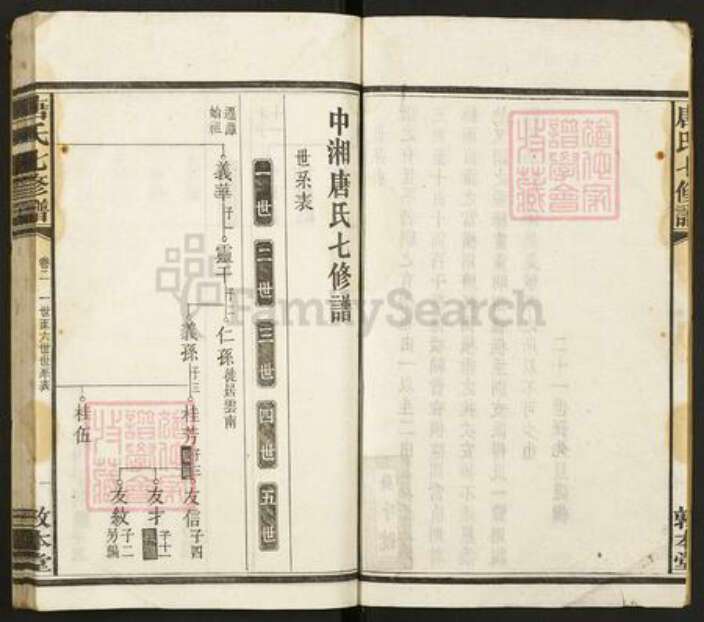 湖南省湘潭市唐氏敦本堂族谱-唐氏七修谱.pdf电子版预览图2