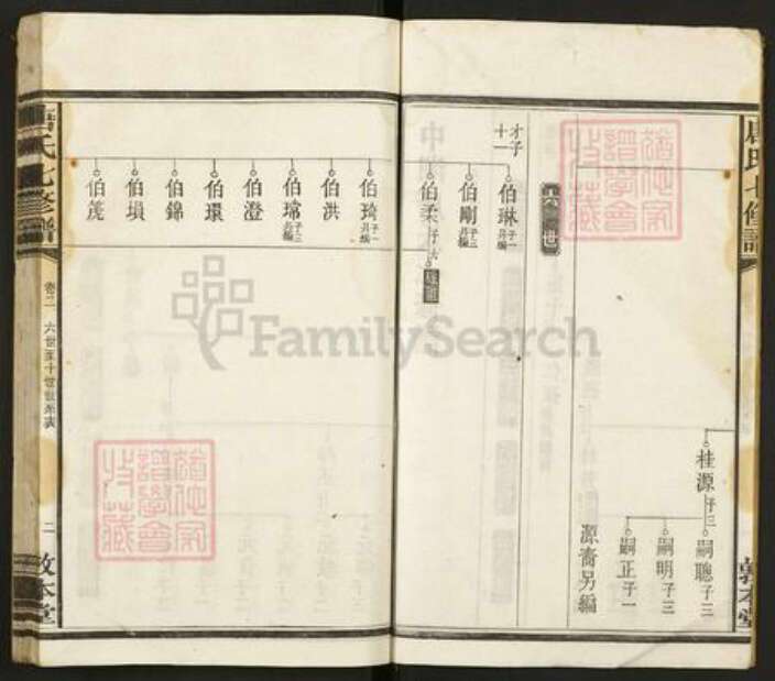 湖南省湘潭市唐氏敦本堂族谱-唐氏七修谱.pdf电子版预览图3