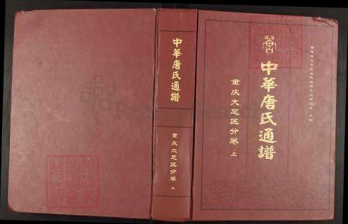 重庆市大足区高升镇唐氏族谱-中华唐氏通谱.重庆大足区分卷.pdf电子版缩略图