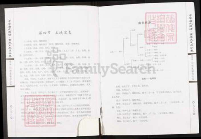 重庆市大足区唐氏族谱-中华唐氏通谱.重庆大足区分卷.pdf电子版预览图2