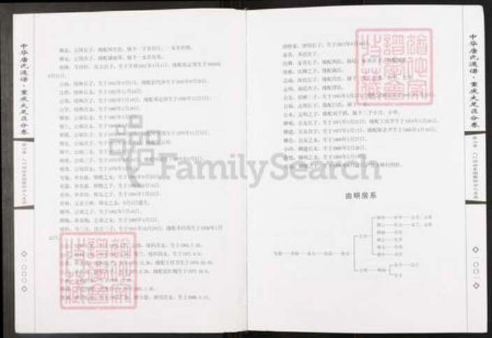 重庆市大足区唐氏族谱-中华唐氏通谱.重庆大足区分卷.pdf电子版预览图3