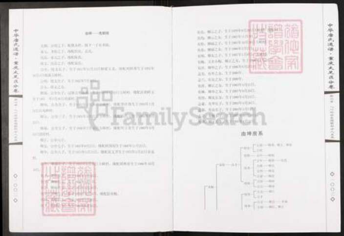 重庆市大足区唐氏族谱-中华唐氏通谱.重庆大足区分卷.pdf电子版预览图4