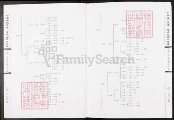 重庆市大足区唐氏族谱-中华唐氏通谱.重庆大足区分卷.pdf电子版预览图5