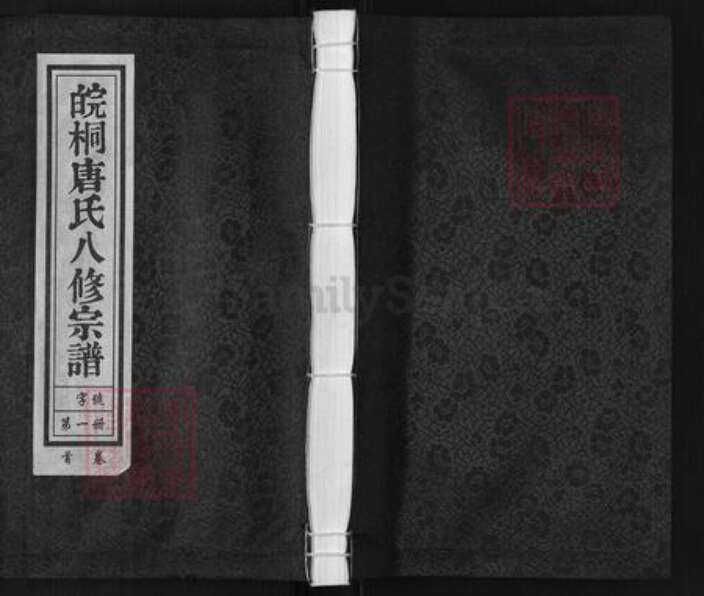 安徽省安庆市桐城市唐氏族谱-皖桐唐氏八修宗谱.pdf电子版缩略图