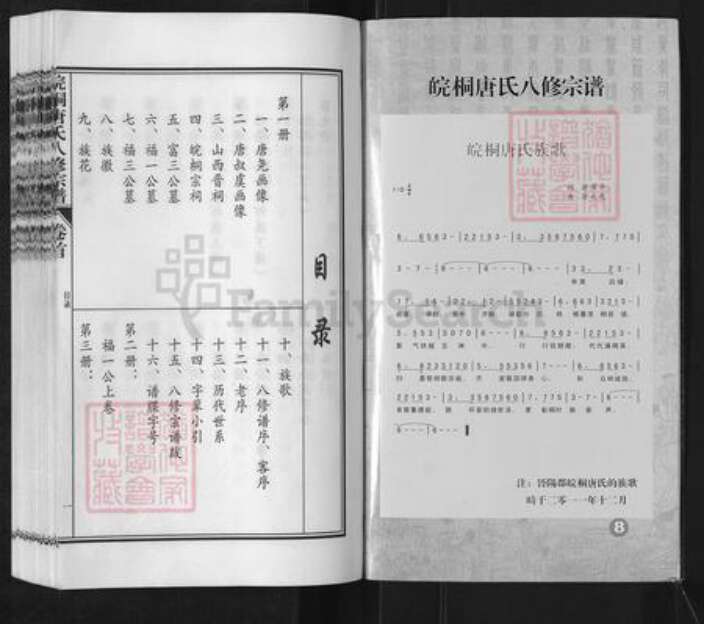 安徽省安庆市桐城市唐氏族谱-皖桐唐氏八修宗谱.pdf电子版预览图2