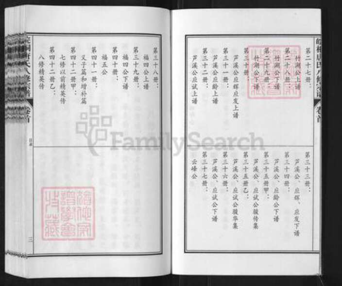 安徽省安庆市桐城市唐氏族谱-皖桐唐氏八修宗谱.pdf电子版预览图4