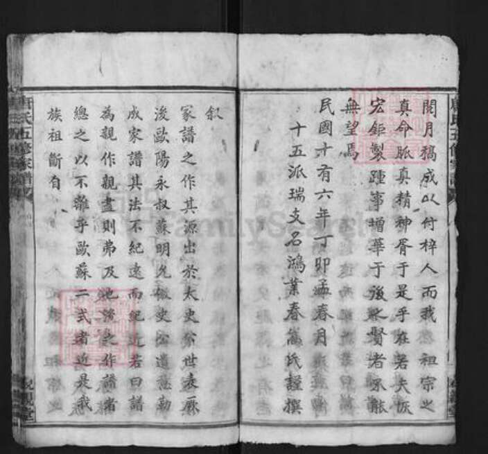 湖南省长沙市宁乡市唐氏亲亲堂族谱-唐氏五修家谱.pdf电子版预览图4