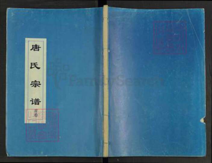 湖北省黄冈市麻城市南湖街道唐氏族谱-唐氏宗谱.pdf电子版缩略图