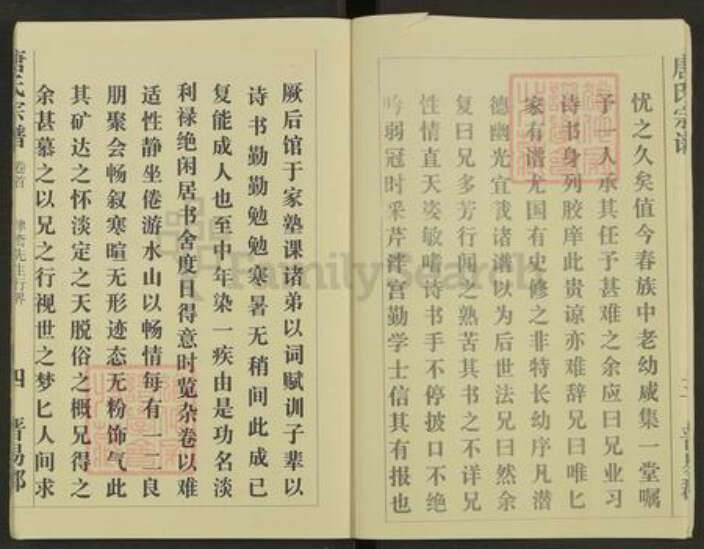 湖北省黄冈市麻城市南湖街道唐氏族谱-唐氏宗谱.pdf电子版预览图5