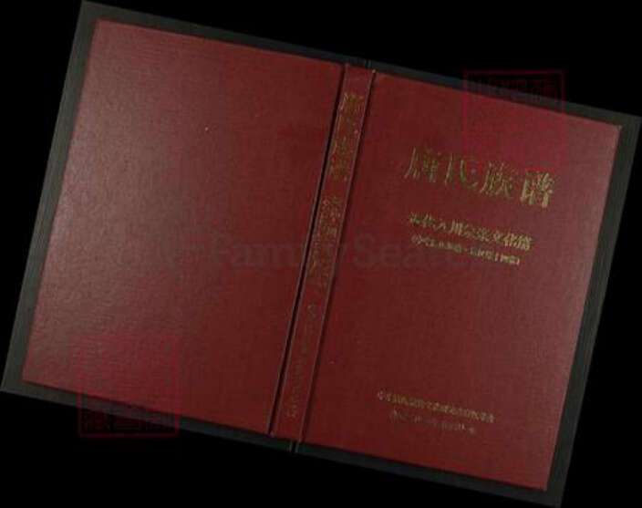 四川省四川省达州市宣汉县唐氏族谱-唐氏族谱.近代入川宗亲文化篇.pdf电子版缩略图