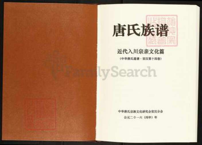 四川省四川省达州市宣汉县唐氏族谱-唐氏族谱.近代入川宗亲文化篇.pdf电子版预览图1