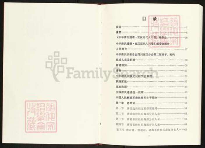 四川省四川省达州市宣汉县唐氏族谱-唐氏族谱.近代入川宗亲文化篇.pdf电子版预览图2