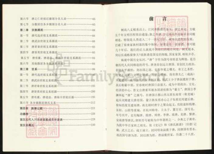 四川省四川省达州市宣汉县唐氏族谱-唐氏族谱.近代入川宗亲文化篇.pdf电子版预览图3