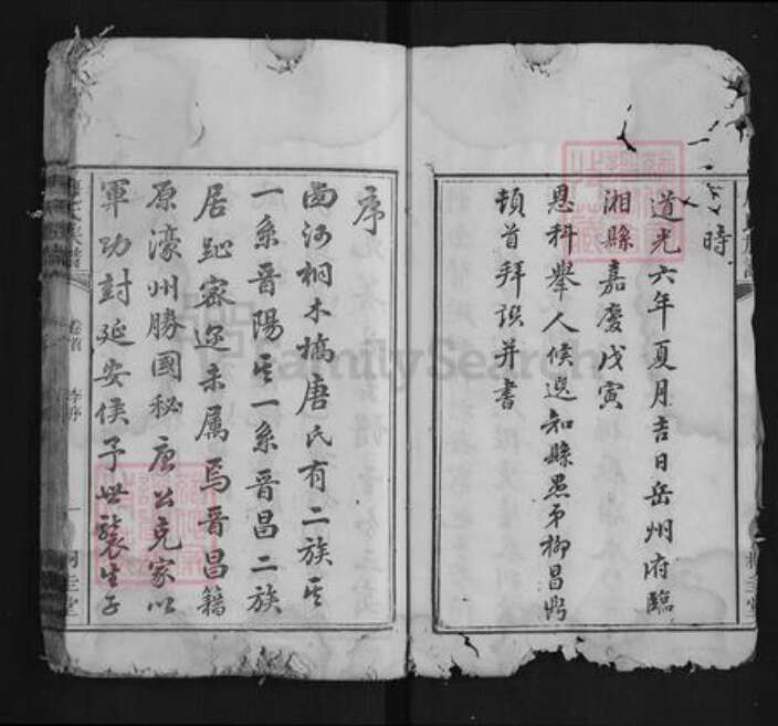 湖南省湘潭市唐氏族谱-唐氏族谱[12卷首1卷末1卷].pdf电子版预览图2