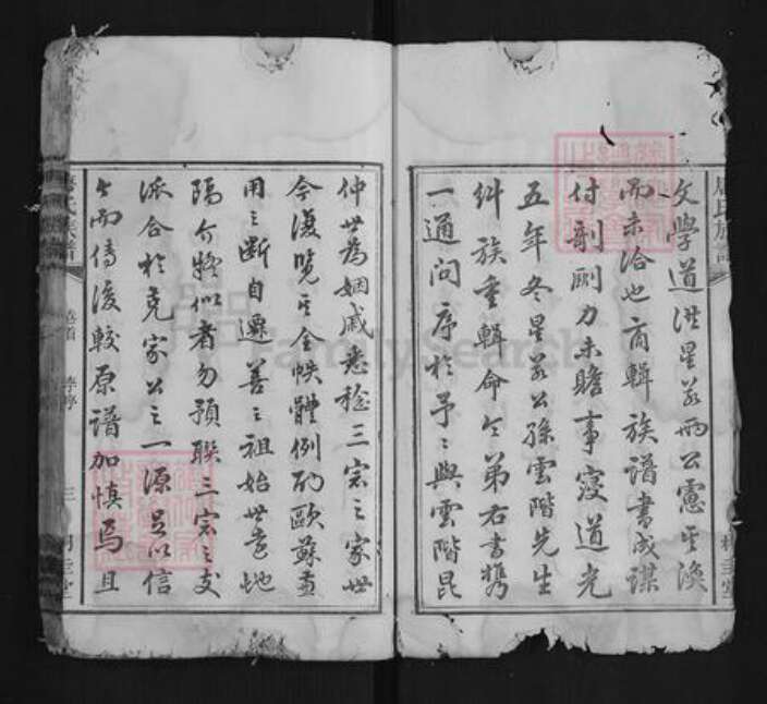 湖南省湘潭市唐氏族谱-唐氏族谱[12卷首1卷末1卷].pdf电子版预览图4