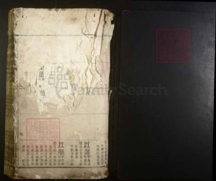 江西省宜春市丰城市唐氏族谱-唐氏族谱.pdf电子版预览图1