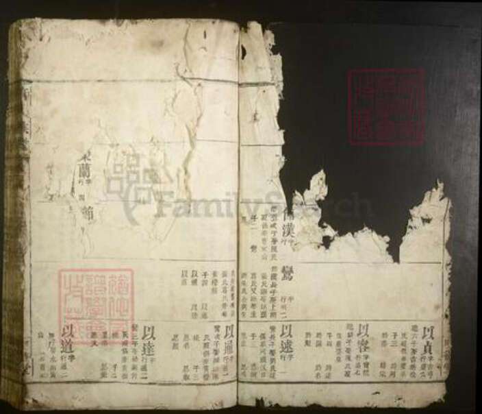 江西省宜春市丰城市唐氏族谱-唐氏族谱.pdf电子版预览图2