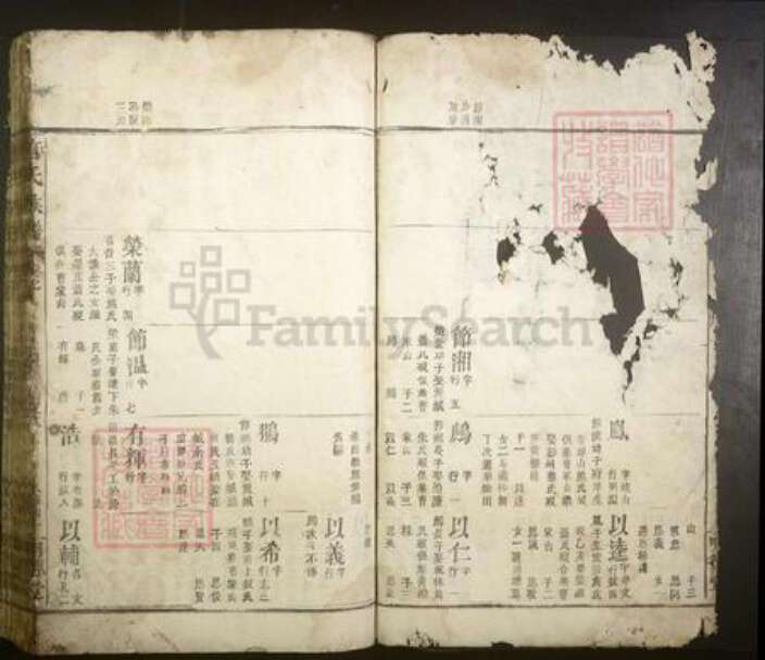 江西省宜春市丰城市唐氏族谱-唐氏族谱.pdf电子版预览图3